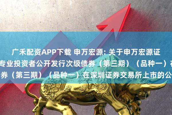 广禾配资APP下载 申万宏源: 关于申万宏源证券有限公司2025年面向专业投资者公开发行次级债券(第三期)(品种一)在深圳证券交易所上市的公告
